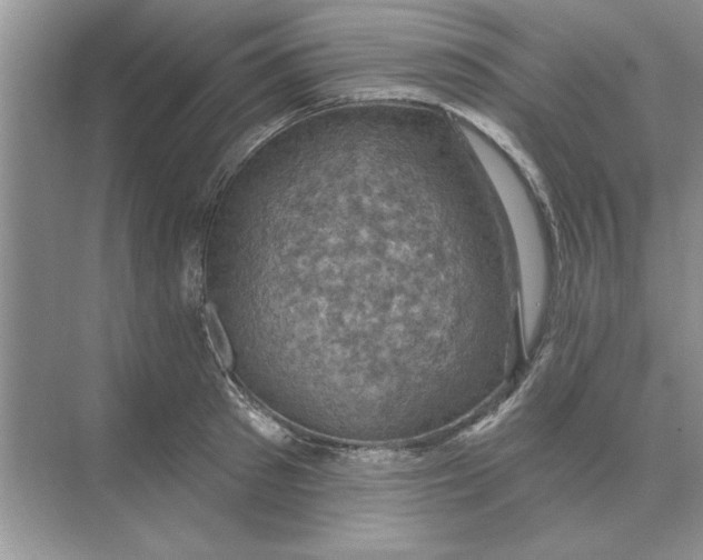 X0000074340897200609230115