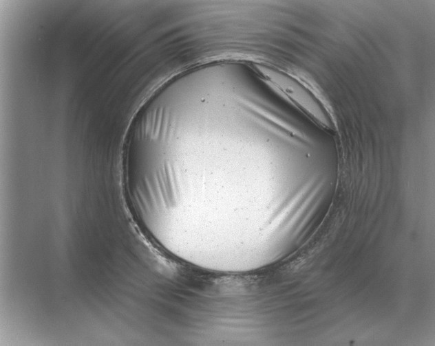 X0000074340898200609230115