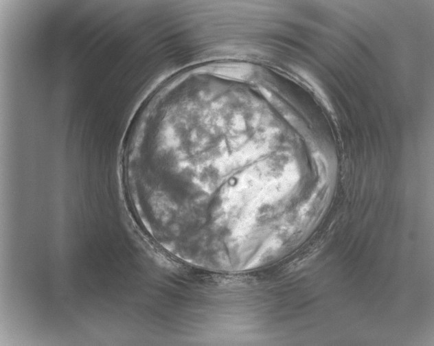 X0000074340899200609230115