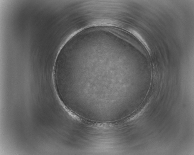 X0000074340901200609230115