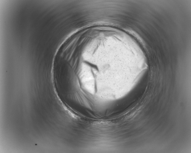 X0000074340902200609230115