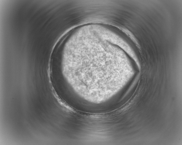 X0000074340904200609230115