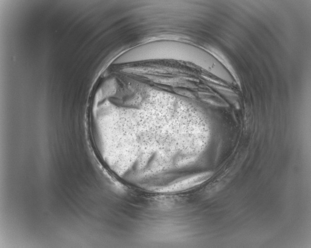 X0000074340906200609230115