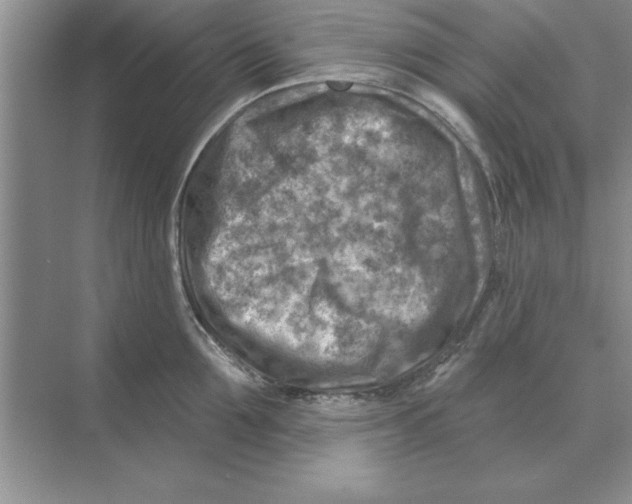 X0000074340907200609230115