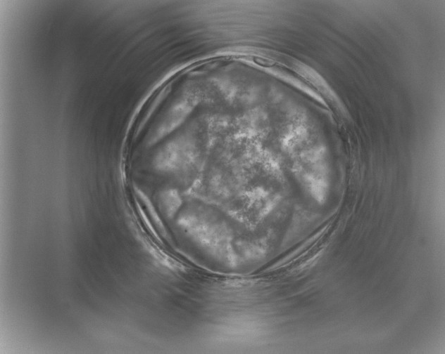 X0000074340908200609230115