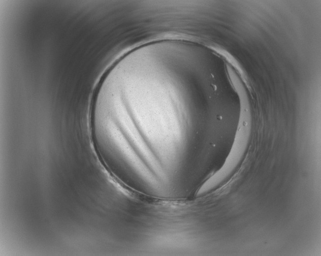 X0000074340910200609230115