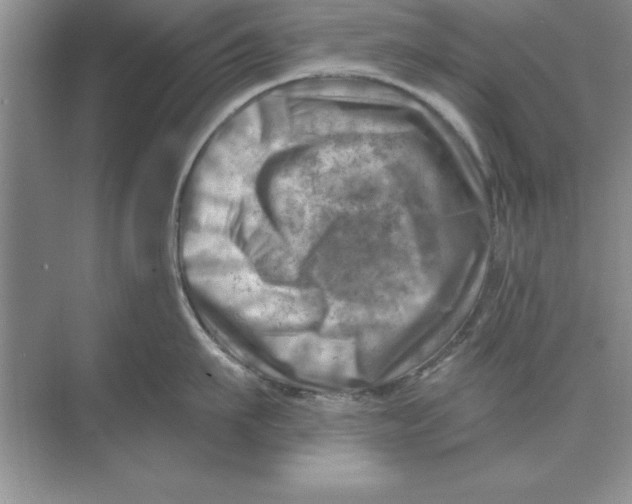 X0000074340911200609230115