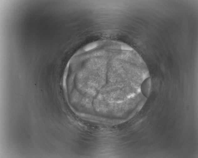 X0000074340913200609230114