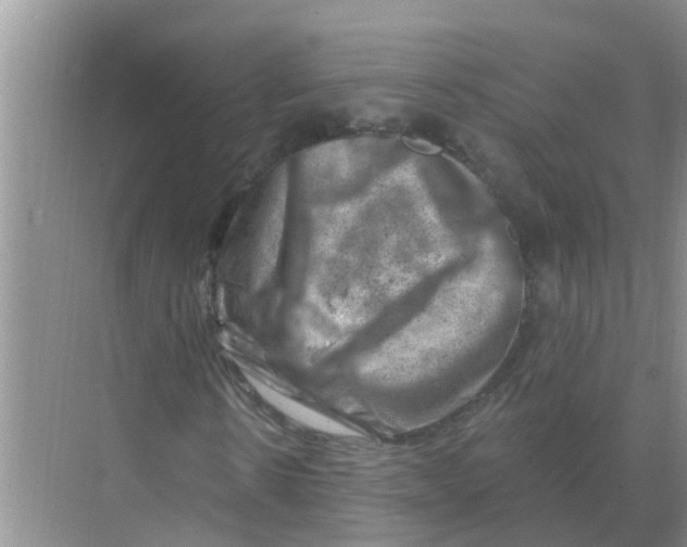 X0000074340914200609230114