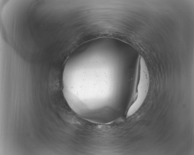 X0000074340916200609230114