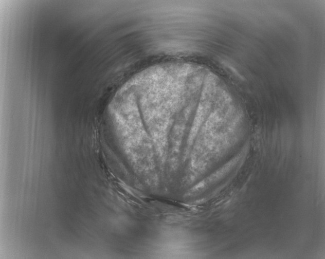 X0000074340917200609230114