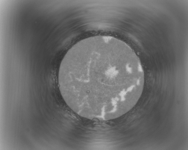 X0000074340918200609230114