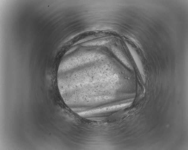 X0000074340920200609230114