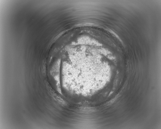 X0000074340921200609230114