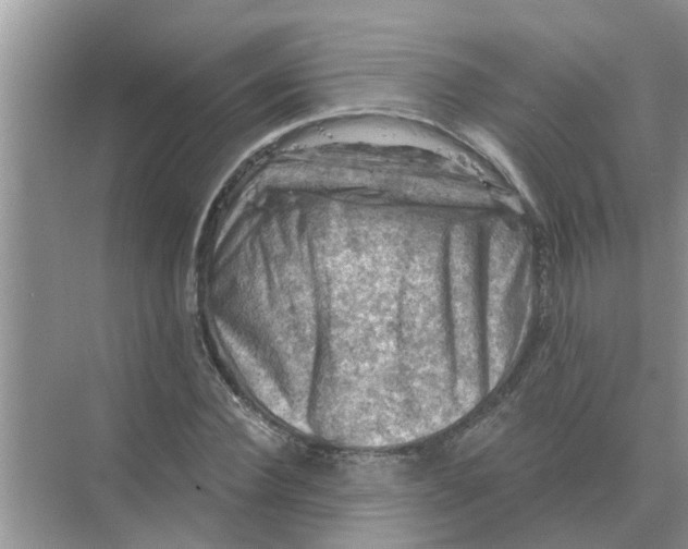 X0000074340924200609230114