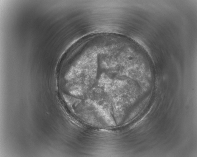 X0000074340925200609230114