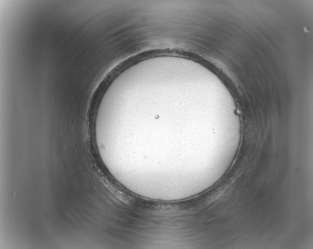 X0000074340927200609230114