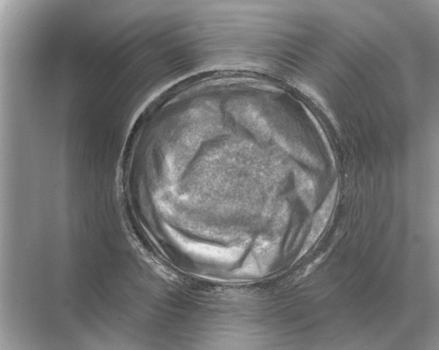 X0000074340928200609230114