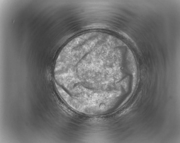 X0000074340929200609230114