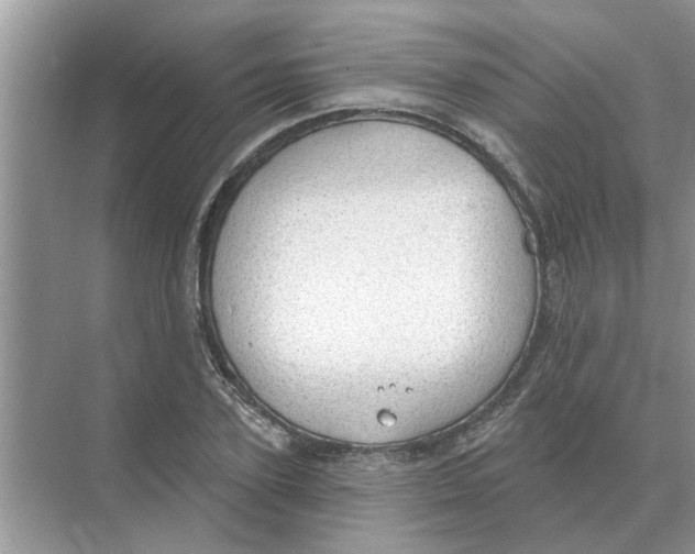 X0000074340931200609230114