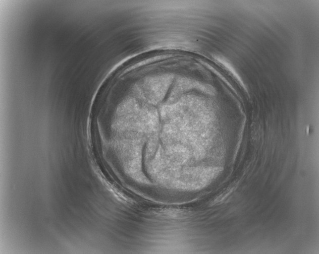 X0000074340932200609230114