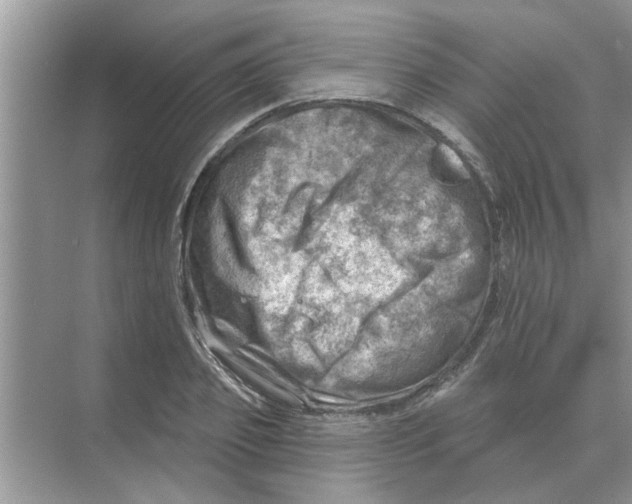 X0000074340933200609230114