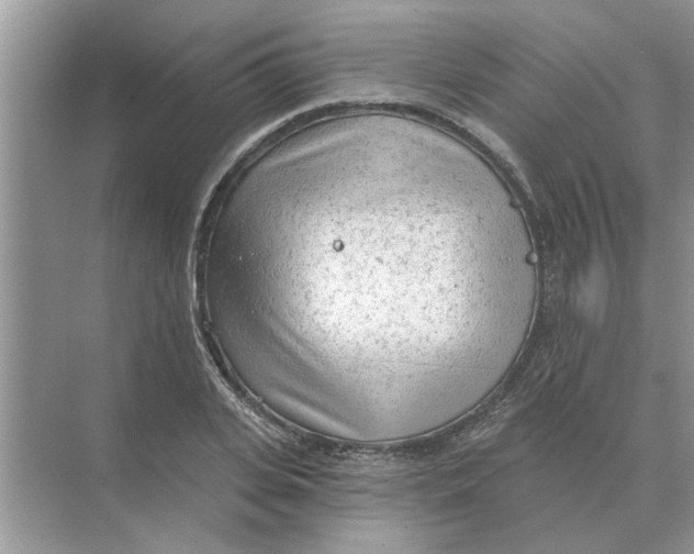 X0000074340935200609230114