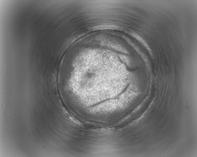 X0000074340937200609230114