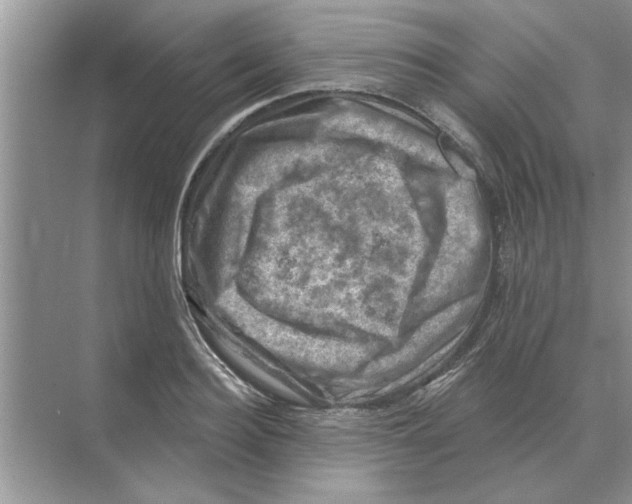 X0000074340940200609230114