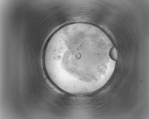 X0000074340941200609230114