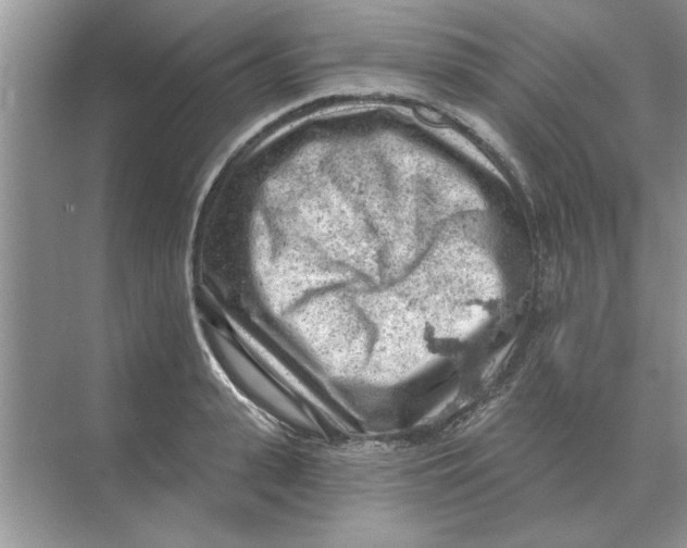 X0000074340943200609230114