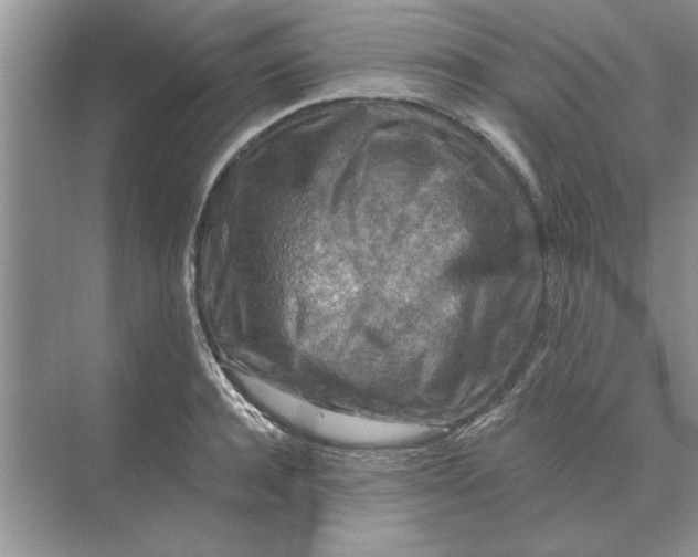 X0000074340944200609230114