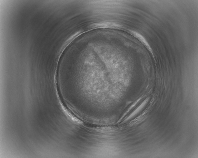 X0000074340946200609230114