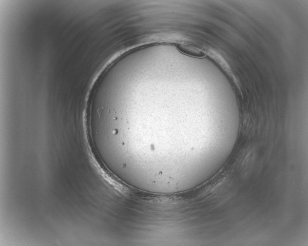 X0000074340947200609230114