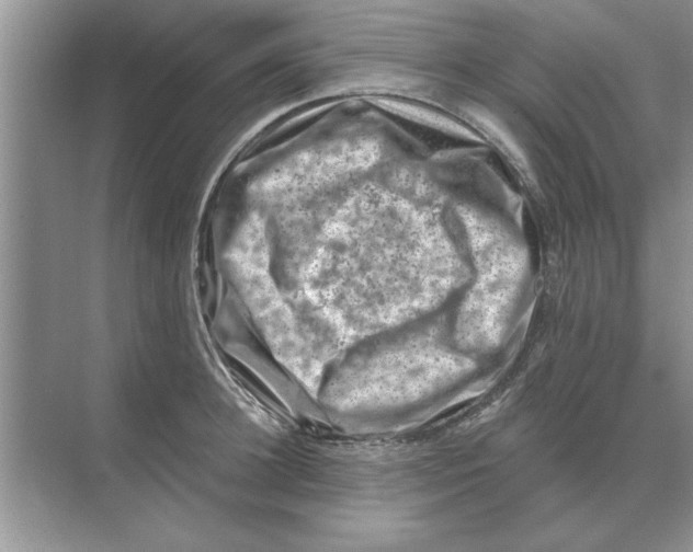 X0000074340948200609230114