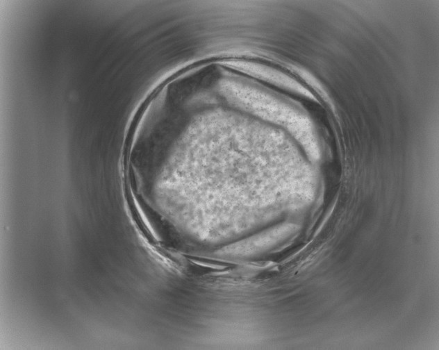 X0000074340951200609230114