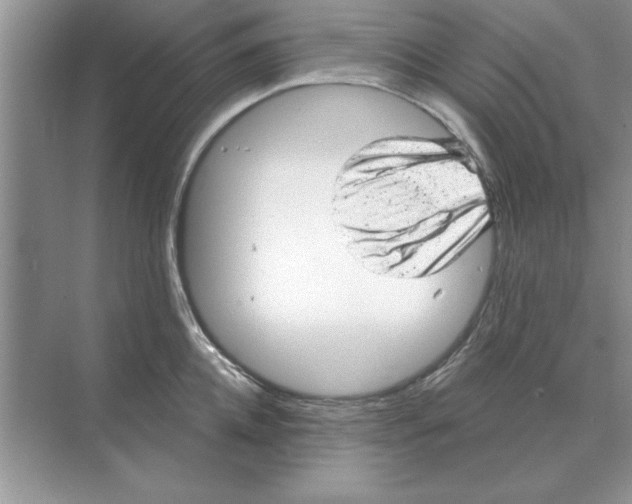 X0000074340952200609230115