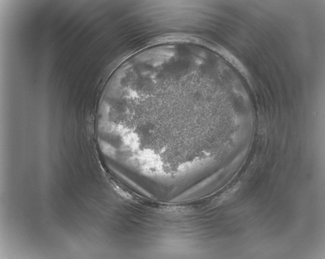 X0000074340953200609230115