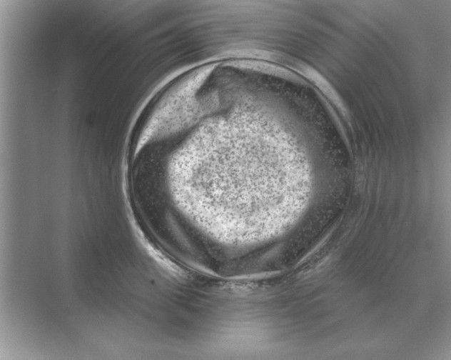 X0000074340955200609230115