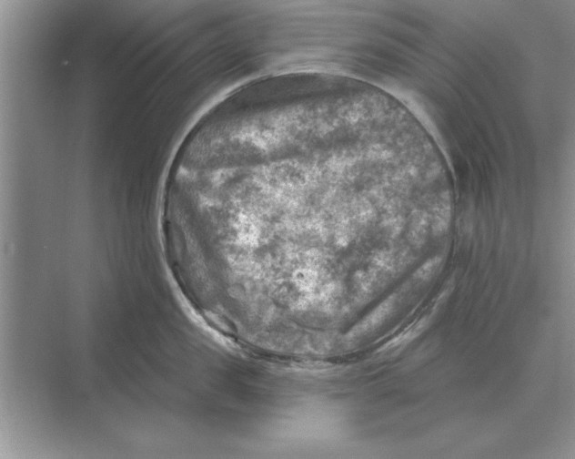 X0000074340957200609230115