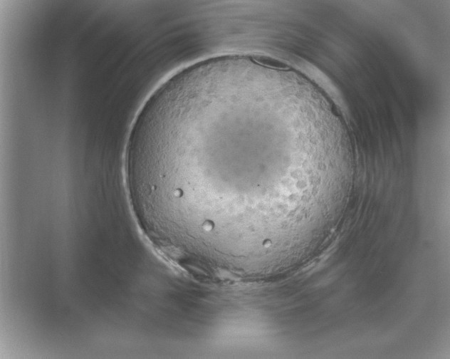 X0000074340958200609230115