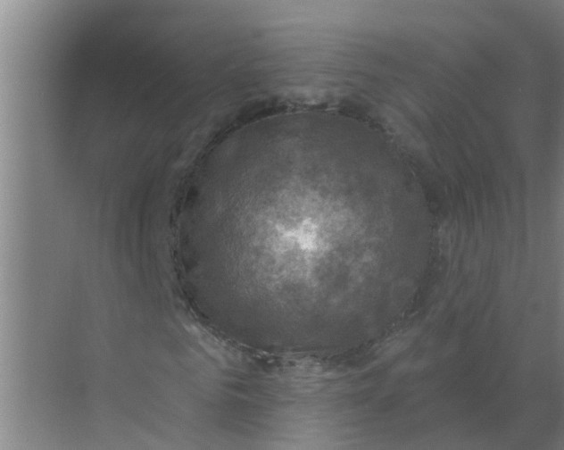 X0000074340961200609230114