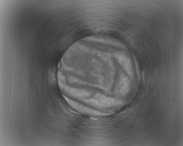 X0000074340963200609230114