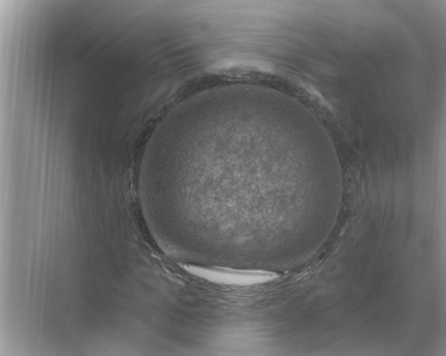 X0000074340965200609230114