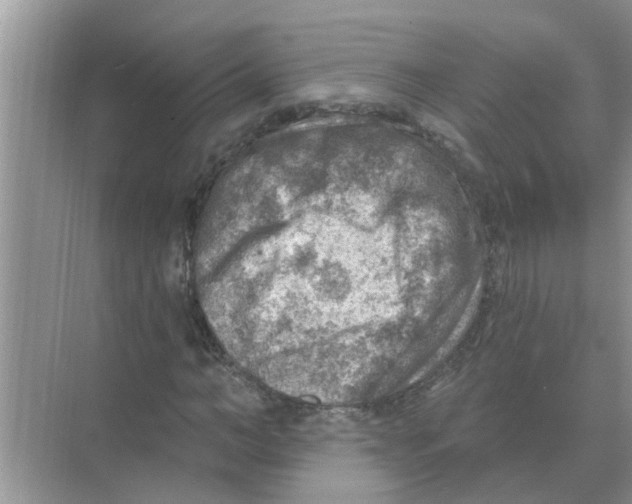 X0000074340966200609230114