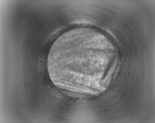 X0000074340967200609230114