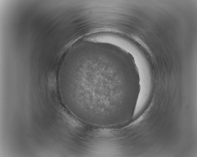 X0000074340969200609230114