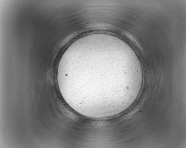 X0000074340970200609230114