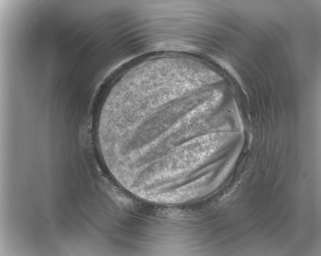 X0000074340971200609230114