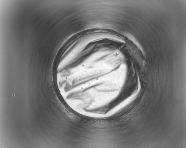 X0000074340972200609230114